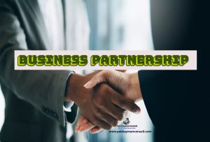  Business Partnerships